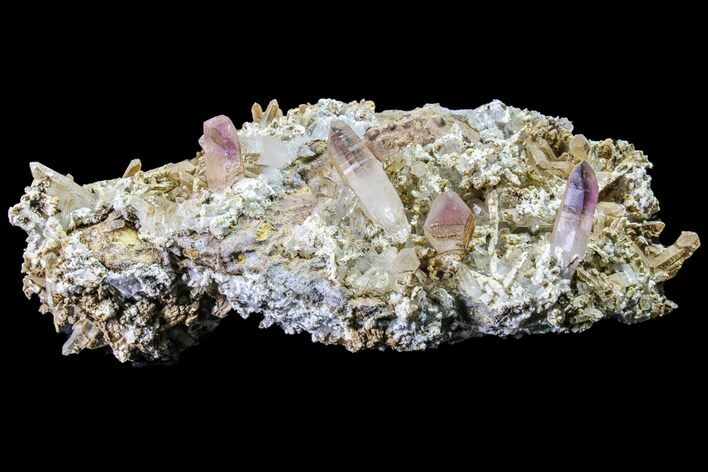 Amethyst Crystal Cluster - Las Vigas, Mexico #155385